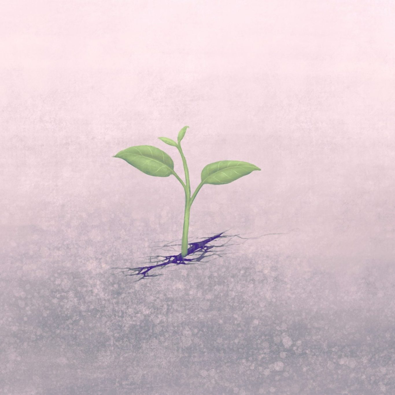 Burnout Prävention Coaching, Resilienz Coaching ein grünes Pflänzchen wächst aus einem eintönigen Boden